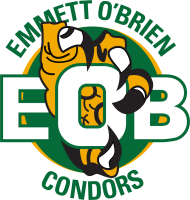 County emmet celtic shop