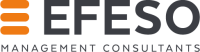 Coiko - it, management, consulting, organization, future
