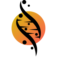 Distributed internet application solutions (pty) ltd. t/a dna solutions