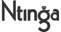 Ntinga projects managers