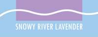 Snowy river lavender