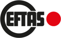 Eftas fernerkundung technologietransfer gmbh