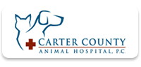 Carter county animal hospital