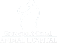 Groveport canal animal hospital