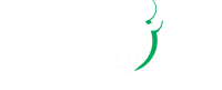 Bion technologies gmbh