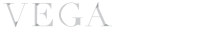 The vega group, llc