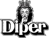 Grupo diper 2006 sl