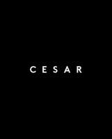 Cesar it consultores