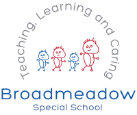 Broadmeadows marketing ltd.