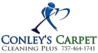 Carpet cleaning plus, inc.