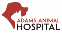 Adam pet clinic