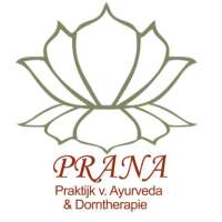 Prana in praktijk