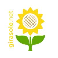 Girasole pr