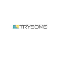 Trysome auto electrical