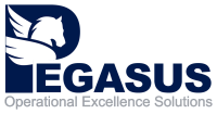Pegasus operational excellence solutions