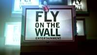 Fly on the wall productions