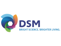 Dsm desotech b.v.