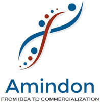 Amincor inc.