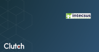 Intecsus technologies, c.a.