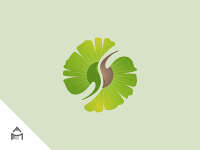 Elemental chinese medicine