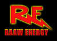 Raaw energy dog food