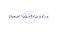 Vignaioli veneto friulani sca