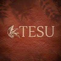 Tesu India
