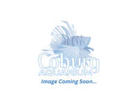 Coburg aquarium