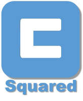 C-squared project management services