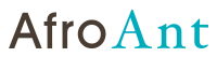 Afro ant consulting (pty) ltd