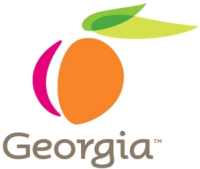 State of georgia department of juvenile justice