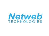 Netweb computer consulting