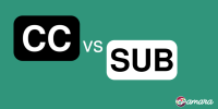 Captioning and subtitling international