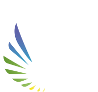 Perfringo