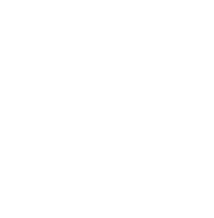 Fluid media group llc