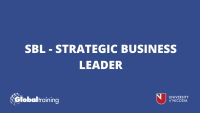 Sbc strategic business consuting ταχατακης χμε οε