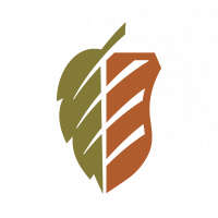 Susan klein design