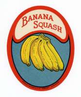 Squashed banana project