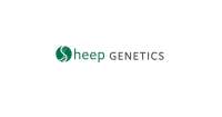 Sheep genetics