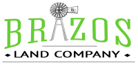 Brazos search group