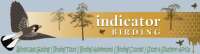 Indicator birding