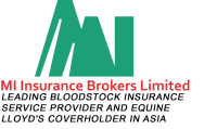 Mi insurance brokers ltd