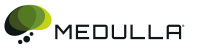 Medulla LLC, Healthcare Management Services