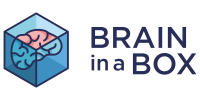 Brain in a box