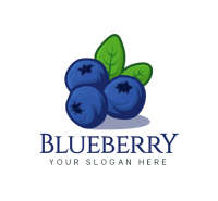 Blue berri design