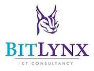 BitLynx Financial Services