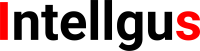 Intellgus - Outsourcing Accounting Company