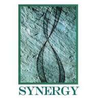 Synergy computer solutions