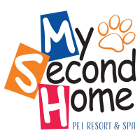 My second home pet resort