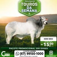 Sba - sistema brasileiro do agronegócio